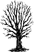 tree logo